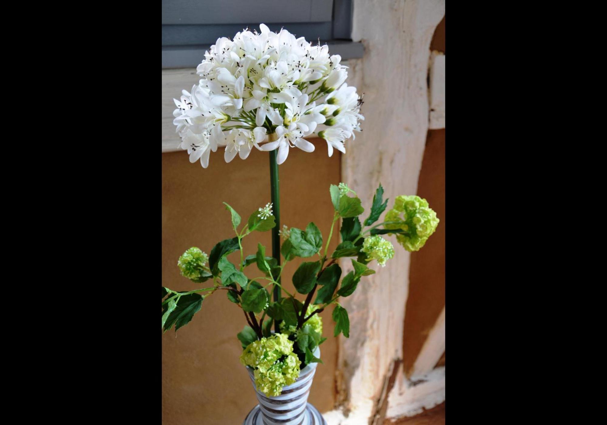 Apartment Neu! Romantique Radebeul